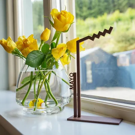 Cluain Abhainn 2-4 Guests, Private Entrance * Westport